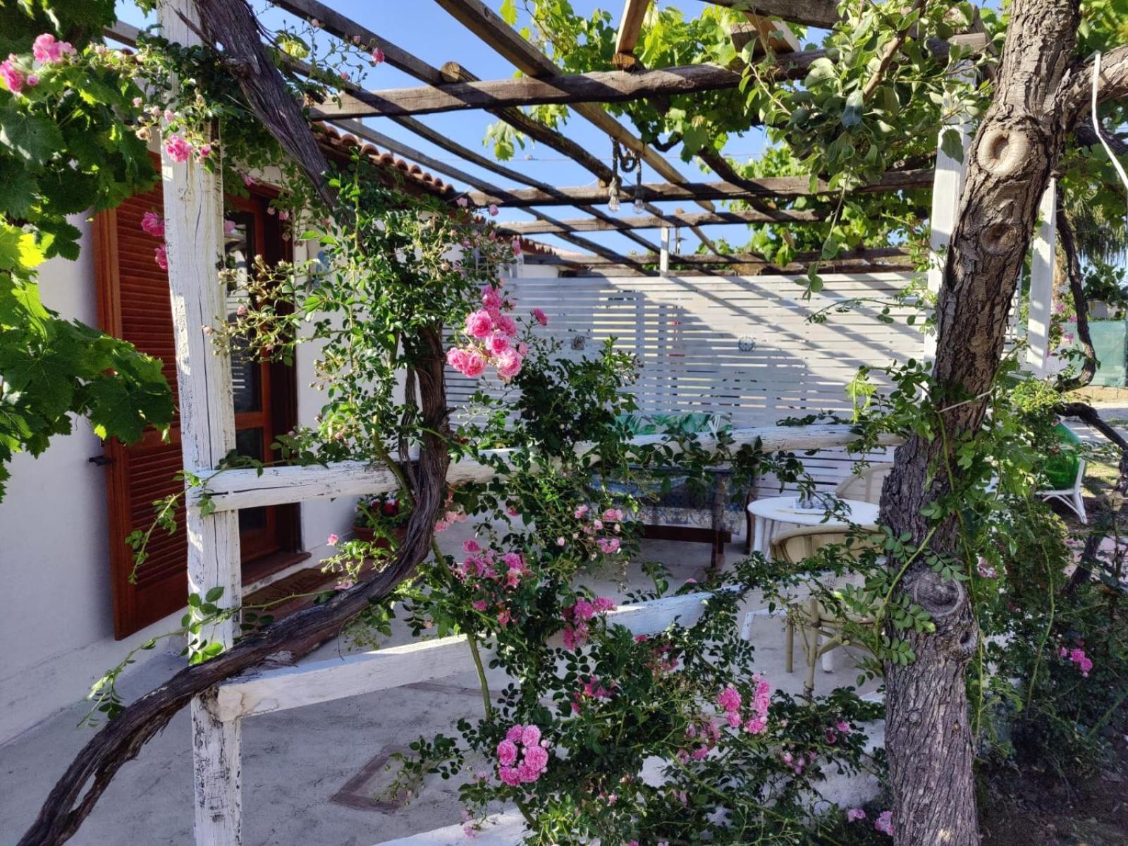 Villa Casa Spezzara Santa Domenica Talao Exterior foto