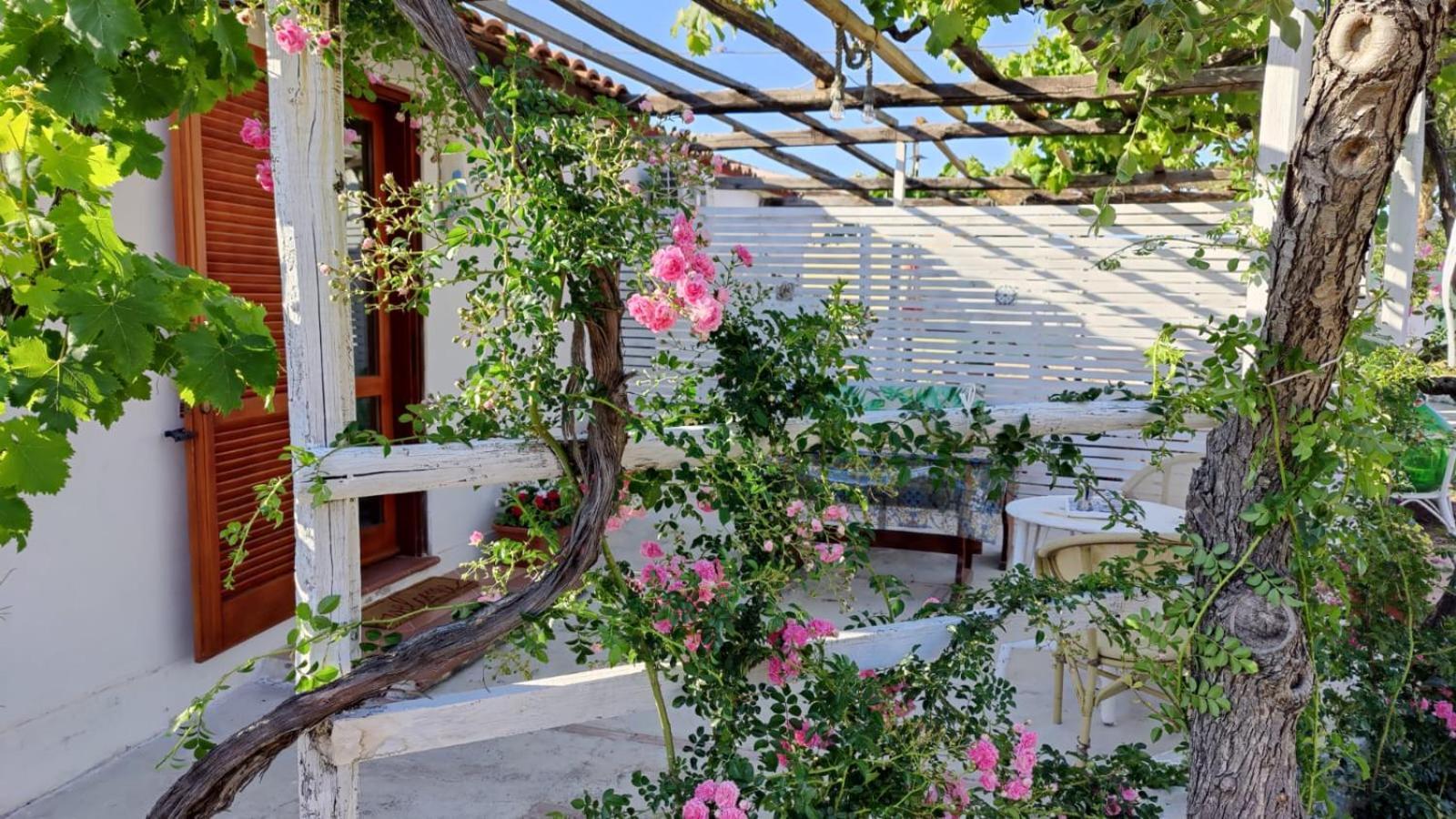 Villa Casa Spezzara Santa Domenica Talao Exterior foto